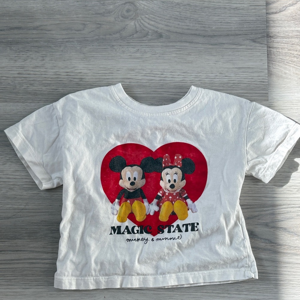 Zara Disney Shirt